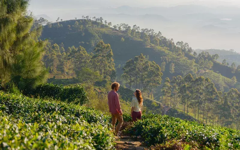 Tour in Sri Lanka tea lovers